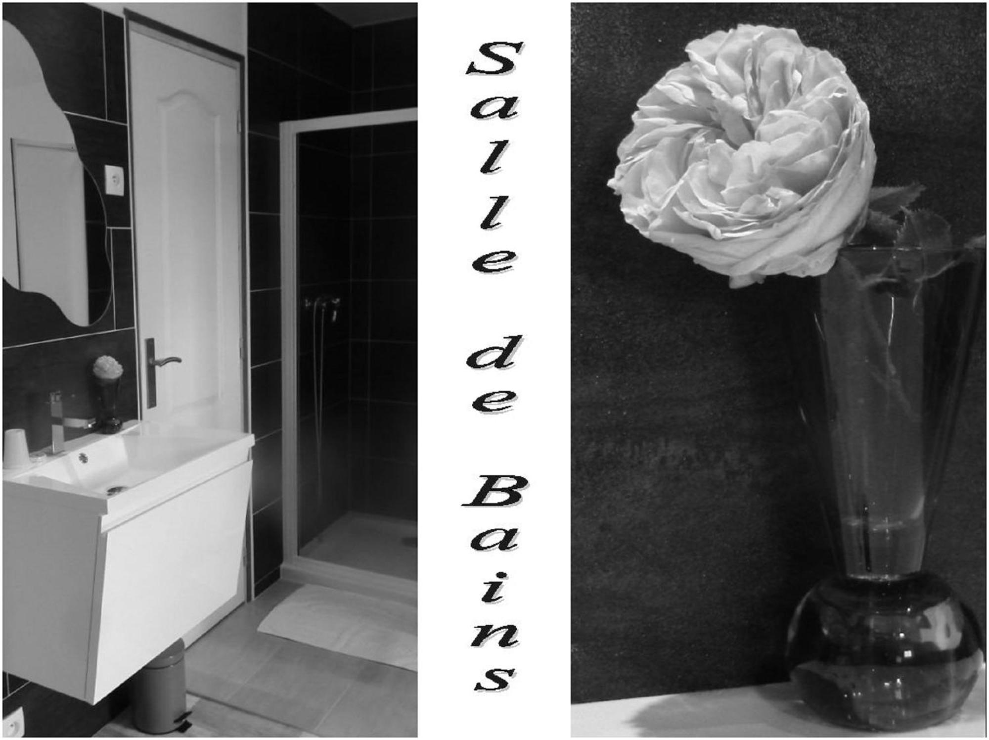 La Bastide Du Moulin - Mont St Michel Bed and Breakfast Moidrey Δωμάτιο φωτογραφία